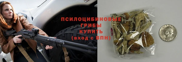 спайс Абаза