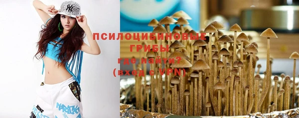 ALPHA PVP Алексин