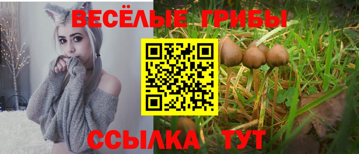 Псилоцибиновые грибы Psilocybe  Вход с VPN  Уварово 