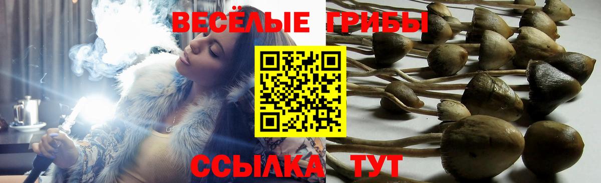 Псилоцибиновые грибы мухоморы Уварово